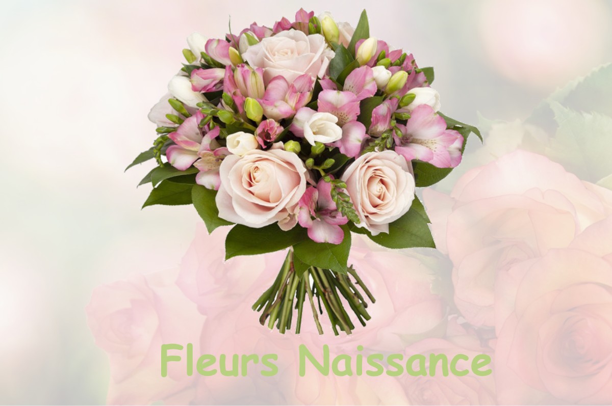 fleurs naissance BESSY-SUR-CURE
